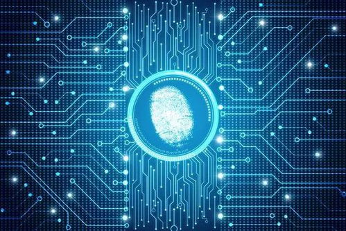 揭秘！關于人體的5個常見偽科學事實