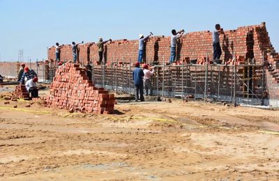 滿都拉深入太陽廟農場，實地調研萬頭有機沙漠肉牛養殖基地規劃與建設進展